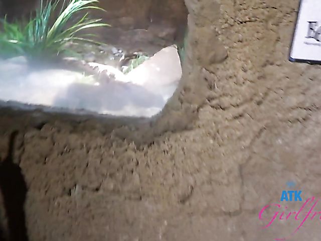 Another day with Paris White and POV sex on cam one more time