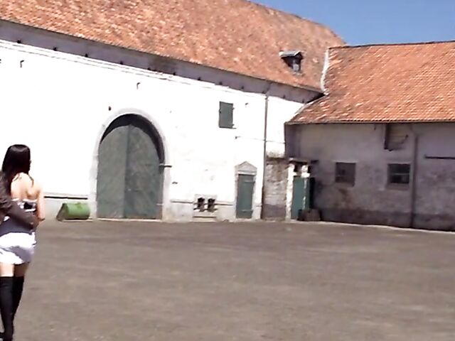 Hot German porn movie Hartgeld Nutten 2