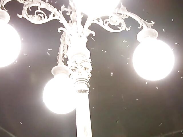 Skinny cute solo girl Anie Darling loves touching and fingering her bald pussy