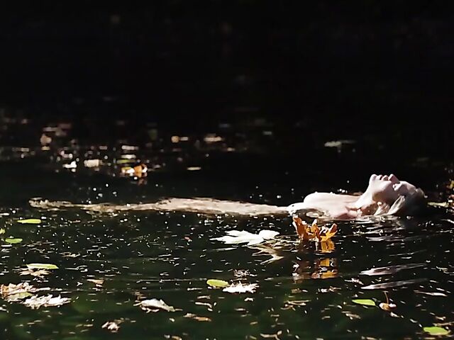 Playboy playmates compilation by Playboy Plus