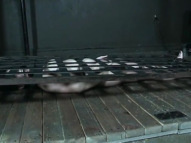 BDSM slave Keira Croft is naked and helpless