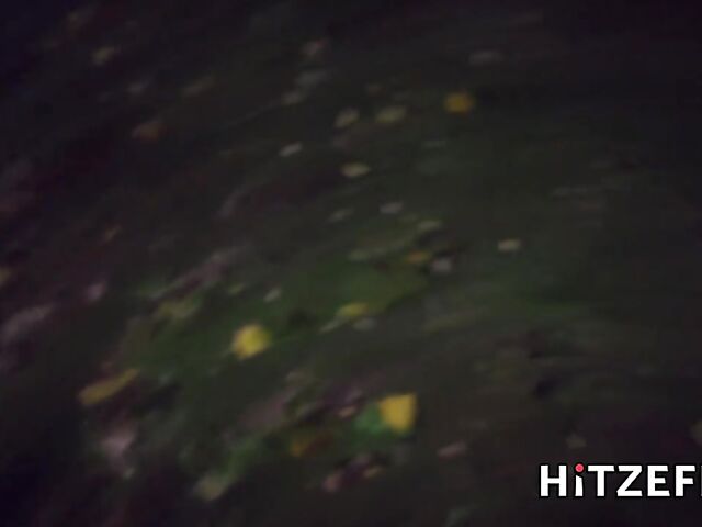 Street sex in the night with whoring german mom Liz De Lane