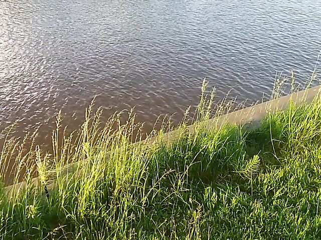 Public jerk off from your point of view in nature 