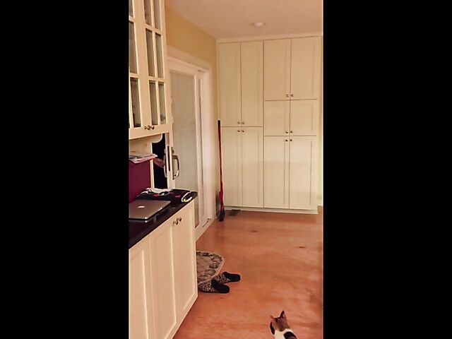 Amateur POV blowjob from his wife's sister Jenny Blighe