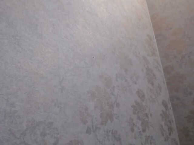 Big ass amateur model Innocent Emmy dildo ride on webcam