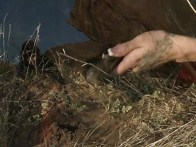 Sperm hunter Sadie West puts a spell on the warrior and gives a great outdoor blowjob