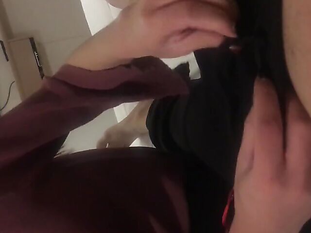 Amateur asian girlfriend eating cock, toes and ass