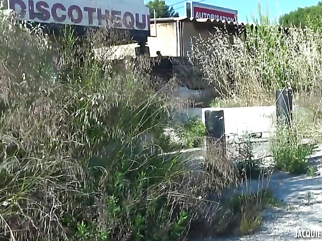 Tattooed french whore Cherry gets nailed in the outdoors