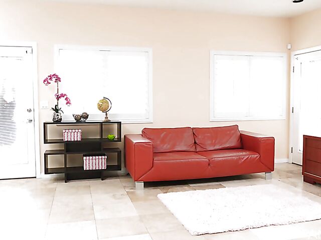 Lily Lane - Big boobed tattooed milf anal fucking in black stockings