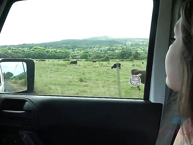 Cute POV girl Winter Jade traveling and fucking her man