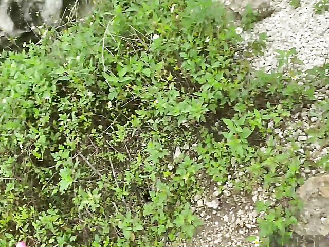 Public ass shaking and outdoor fuck POV with tight Kelsi Monroe