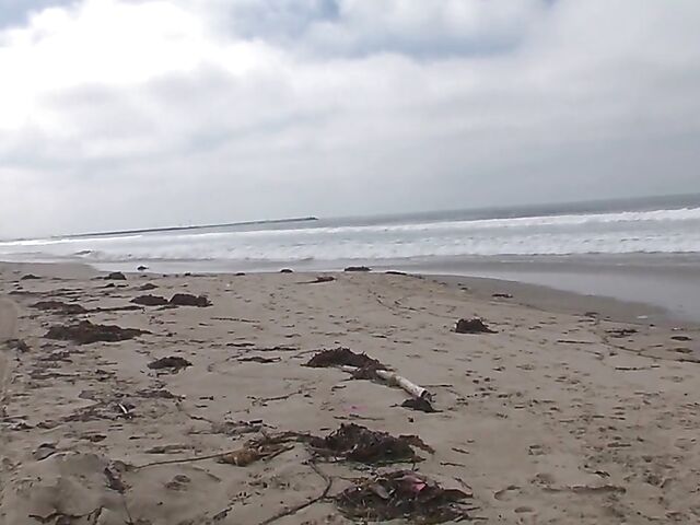 Chubby bikini mom with fat tits Porsche Dali gets picked up at the beach