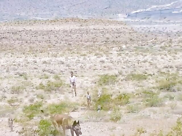 Skinny MILF Sofie Marie sucking indoors and fucking outside