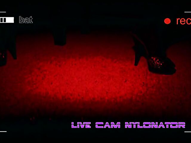 Horny sluts in action in this german porn movie