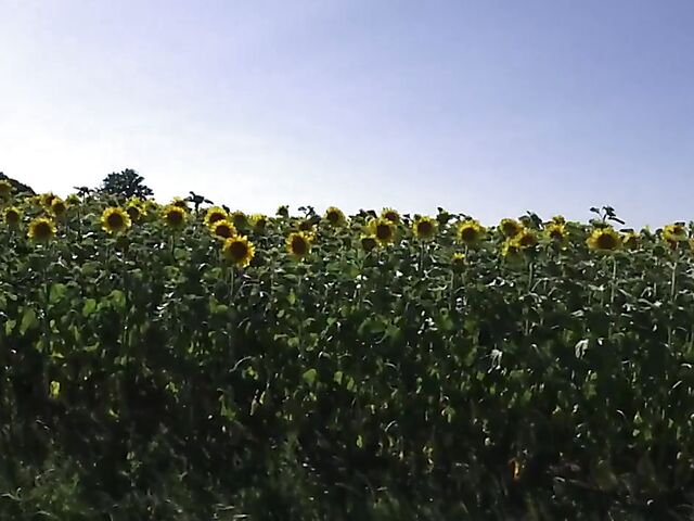 Redhead MILF hitchhiker Flora Milano is ready for anal