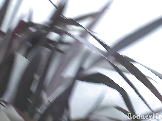 Young April ONeil fucks Rodney Moore and gets cum on glasses