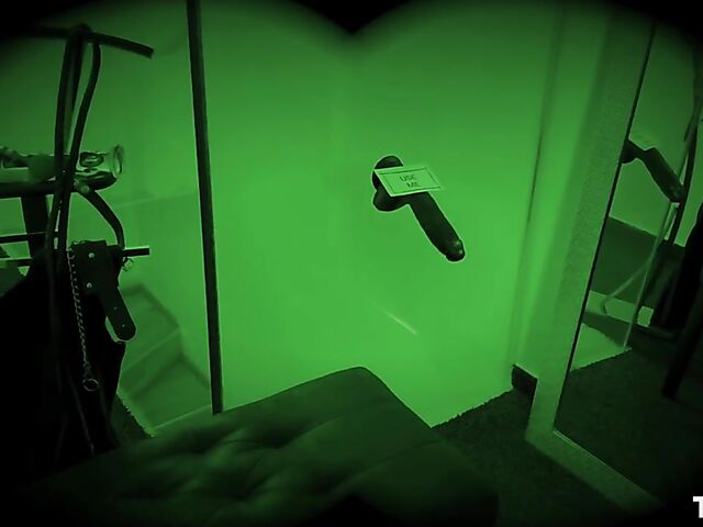 Cindy Shine's black dildo and red ball gag