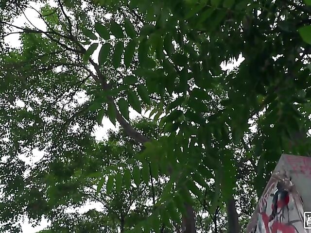 Interracial black cock anal in the hostel with slim hippie girl Eveline Dellai