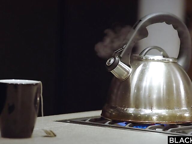 Naomi Swann is in love with Sly Diggler's big black dick