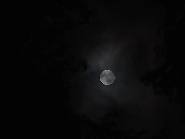 Midnight car sex in the dark with Vanna Bardot