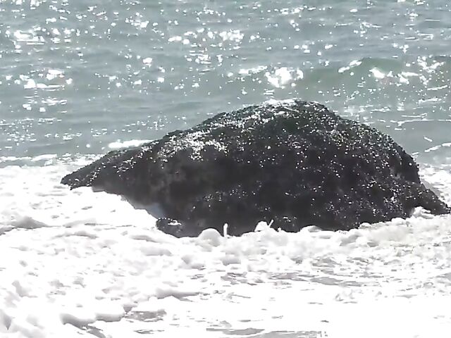 Moaning fuck with hot looking brunette Sofi Ryan