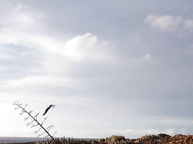 Karin Torres & Sherice Cats - Two petite teen girls posing nude and showing their tiny tits and lovely pussies outdoors