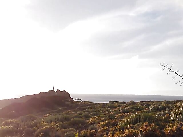 Karin Torres & Sherice Cats - Two petite teen girls posing nude and showing their tiny tits and lovely pussies outdoors