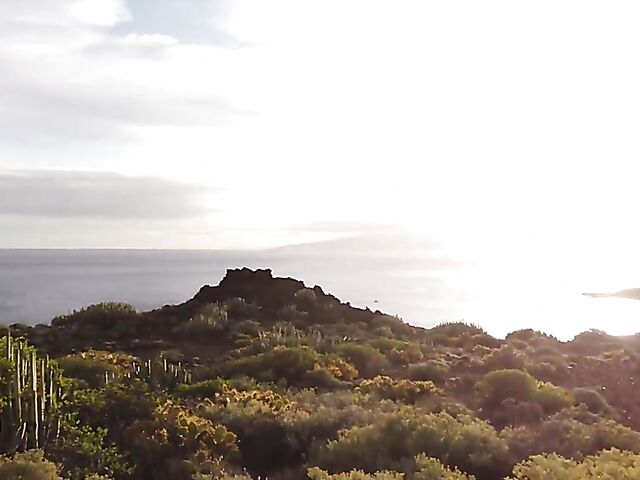 Karin Torres & Sherice Cats - Two petite teen girls posing nude and showing their tiny tits and lovely pussies outdoors