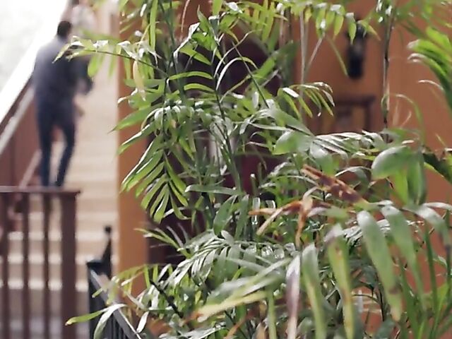 Horny old man fucks teen tourist Athena Faris