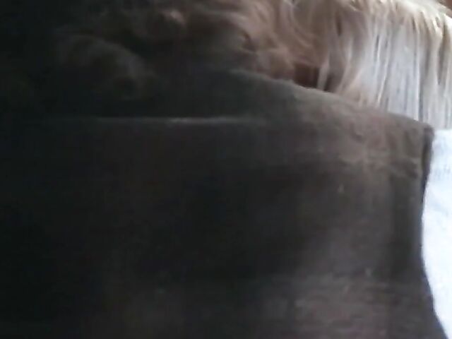 Classic 90s porn movie The Revenge of Bonnie and Clyde starring Racquel Darrian, Asia Carrera & Dyanna Lauren