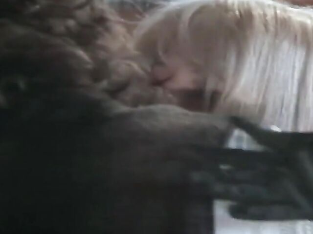 Classic 90s porn movie The Revenge of Bonnie and Clyde starring Racquel Darrian, Asia Carrera & Dyanna Lauren