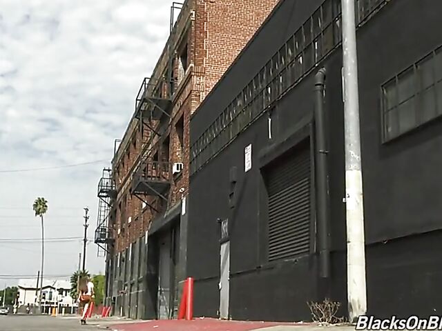 Tattooed slut Vanessa Vega looking for a black cock gangbang