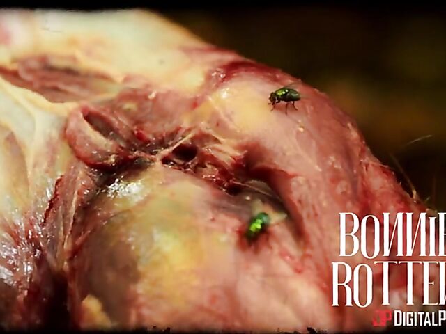 Pussy creampie with pierced tits brunette Katrina Jade