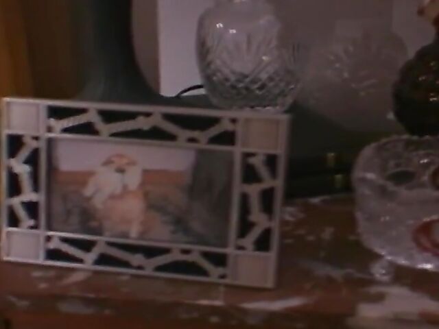 Alexa Rae, Briana Banks, Monika Star, and Sharon Kane in a classic porn movie