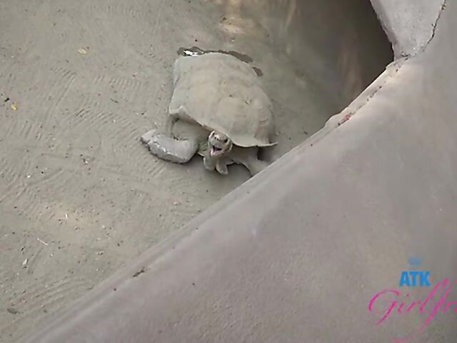 POV vacation and sex with ATK girlfriend Riley Star