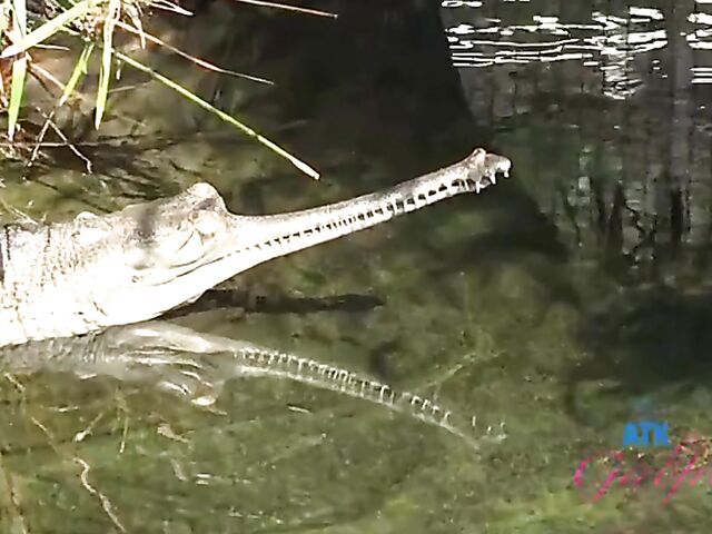 POV vacation and sex with ATK girlfriend Riley Star