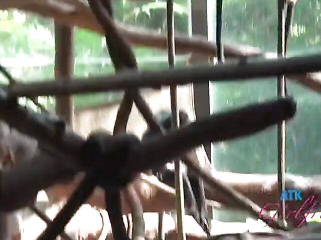 POV vacation and sex with ATK girlfriend Riley Star