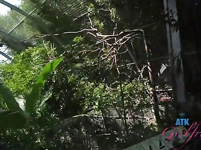 POV vacation and sex with ATK girlfriend Riley Star