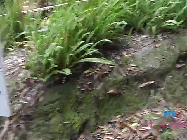 POV vacation and sex with ATK girlfriend Riley Star