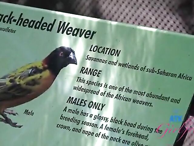 POV vacation and sex with ATK girlfriend Riley Star