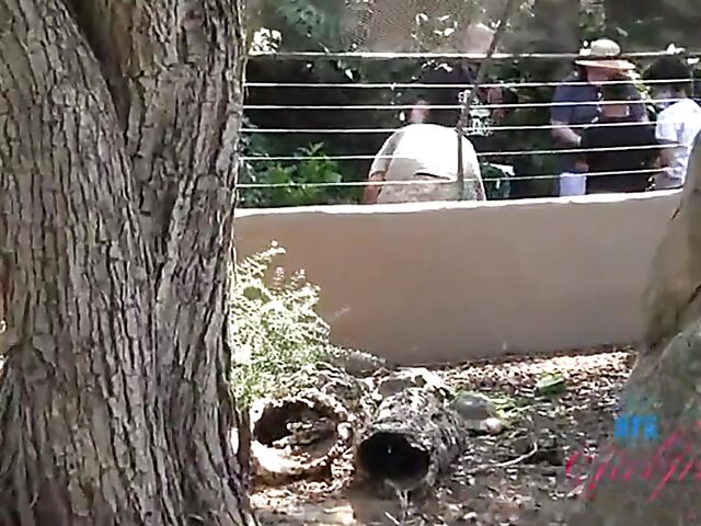 POV vacation and sex with ATK girlfriend Riley Star