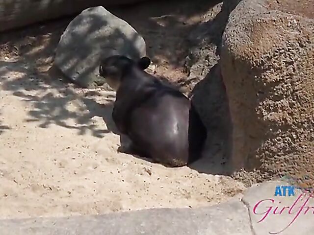 POV vacation and sex with ATK girlfriend Riley Star