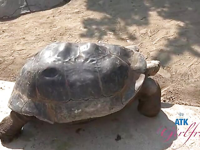 POV vacation and sex with ATK girlfriend Riley Star