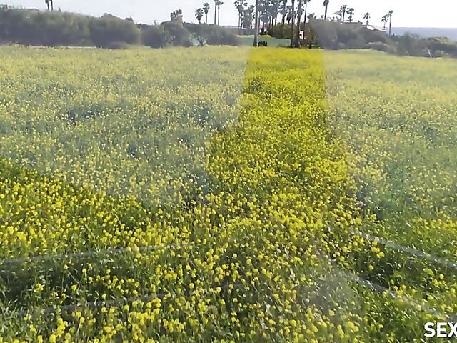 Sweet teen Lily Larimar gets fucked by Robby Echo and then goes to bed with cute Ellie Eilish