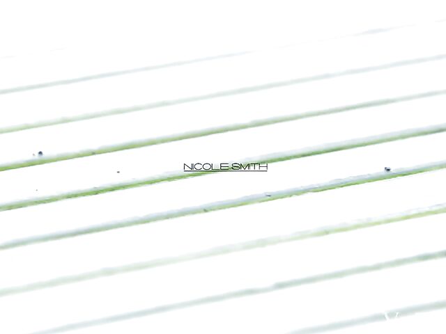 Viv Thomas lesbian babes Dolly Diore and Nicole Smith do it outside