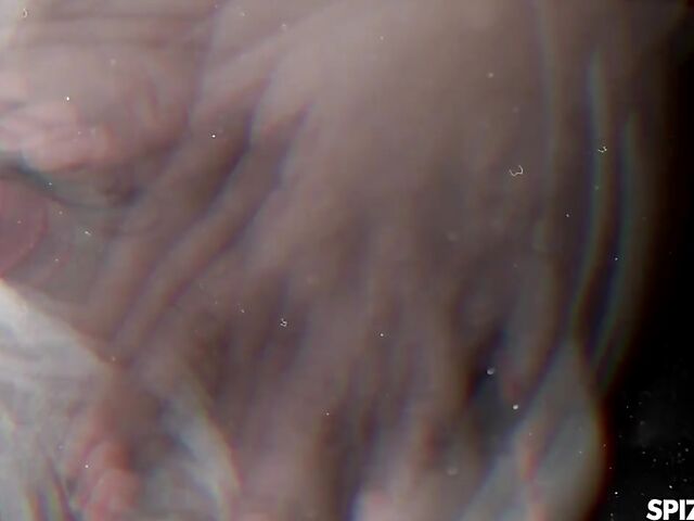 Payton Preslee and Valentina Nappi lesbian lingerie session