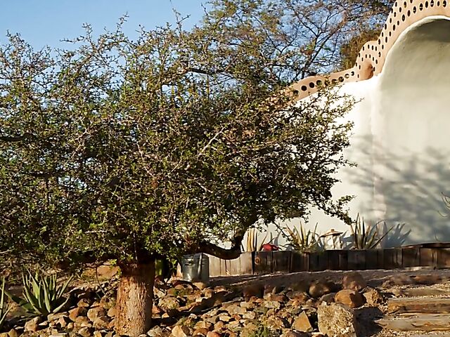 Indonesian babe Putri Cinta shows off her perfect body