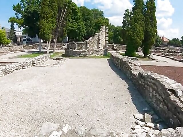 Subil Arch - Cute petite MILF POV banged