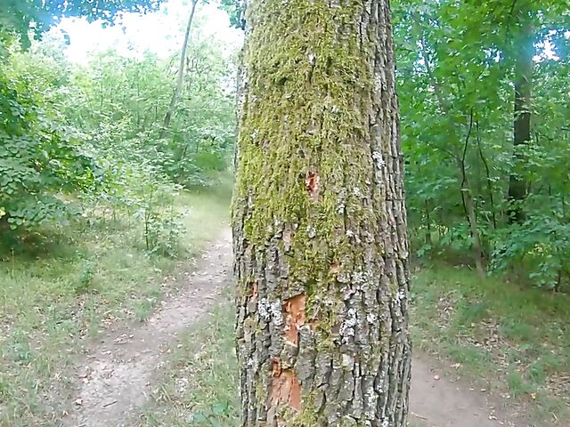 Outdoor sex in the forest with horny nudist Mia Rose