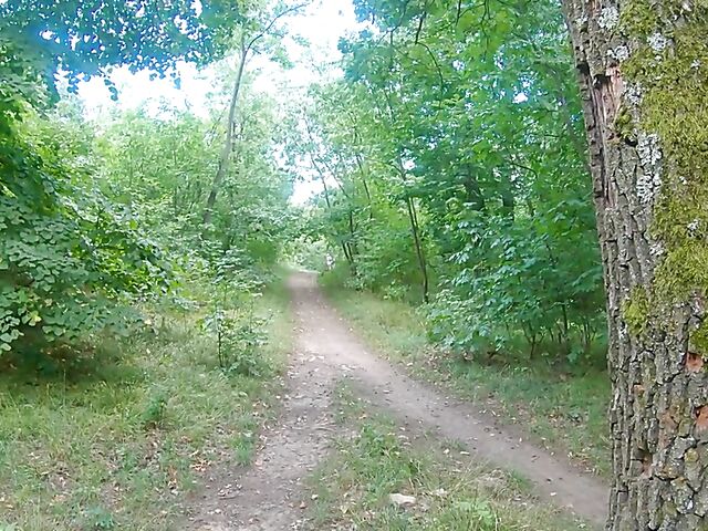 Outdoor sex in the forest with horny nudist Mia Rose